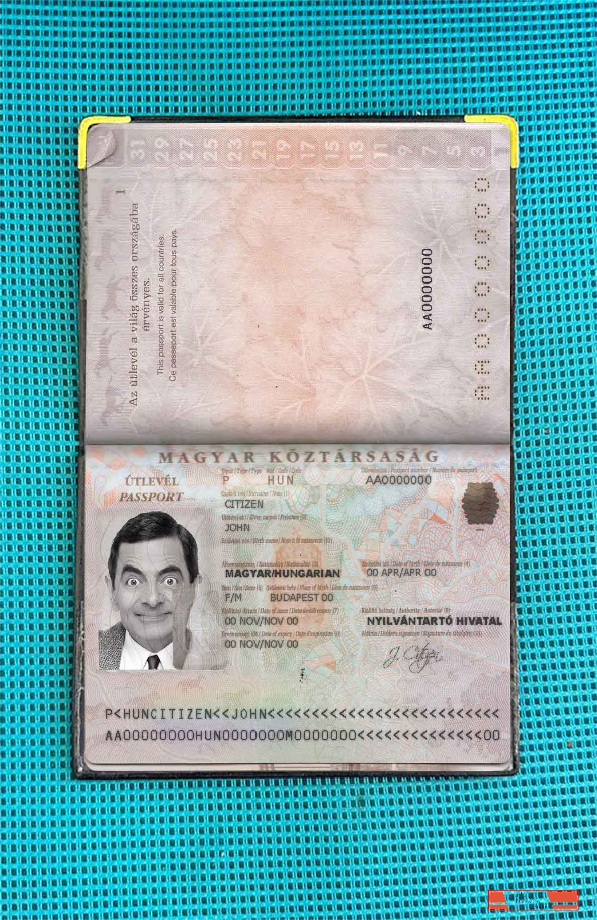 Hungary passport photo look PSD template